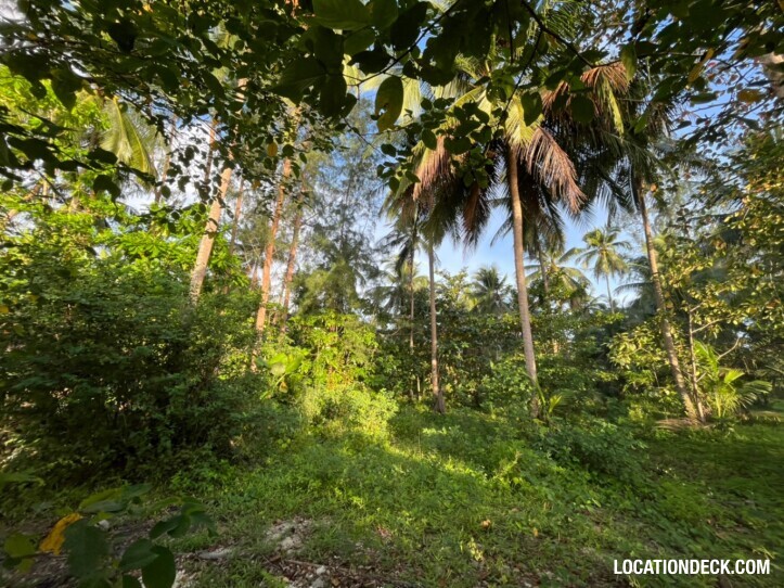 Coconut Beach - Phangnga, Thailand Filming Location
