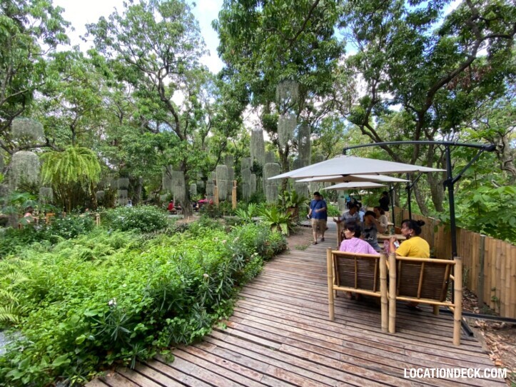 Natura Cafe - Bangkok, Thailand Filming Location