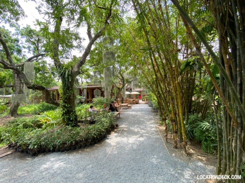 Natura Cafe - Bangkok, Thailand Filming Location