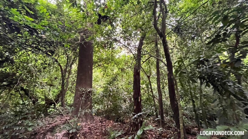 Bang Pra Wildlife Sanctuary - Chonburi, Thailand Filming Location