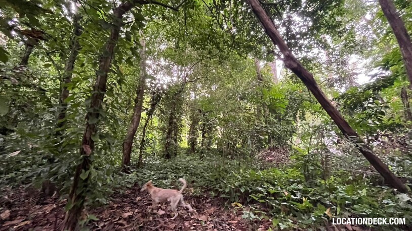 Bang Pra Wildlife Sanctuary - Chonburi, Thailand Filming Location