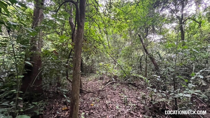 Bang Pra Wildlife Sanctuary - Chonburi, Thailand Filming Location