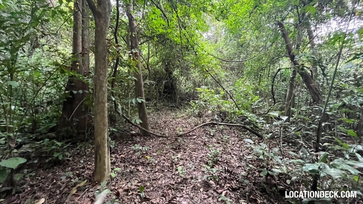 Bang Pra Wildlife Sanctuary - Chonburi, Thailand Filming Location