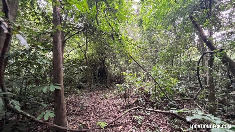 Bang Pra Wildlife Sanctuary - Chonburi, Thailand Filming Location