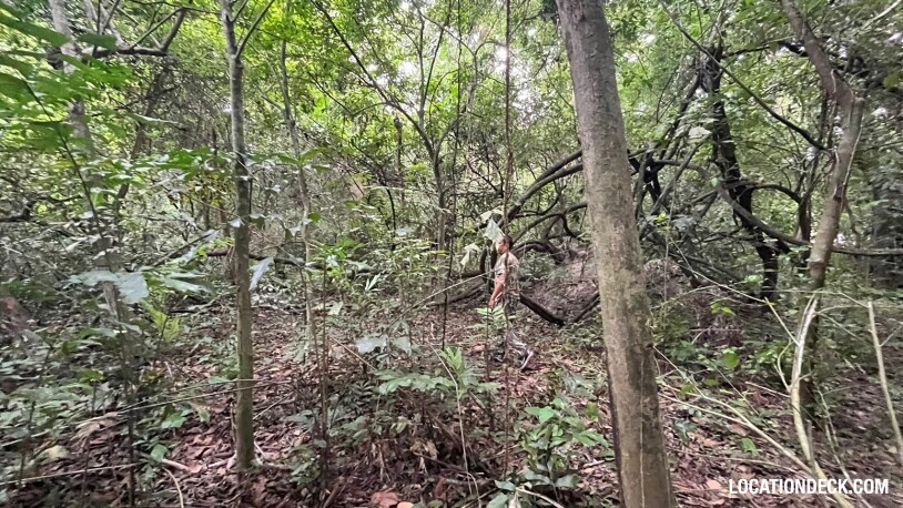 Bang Pra Wildlife Sanctuary - Chonburi, Thailand Filming Location