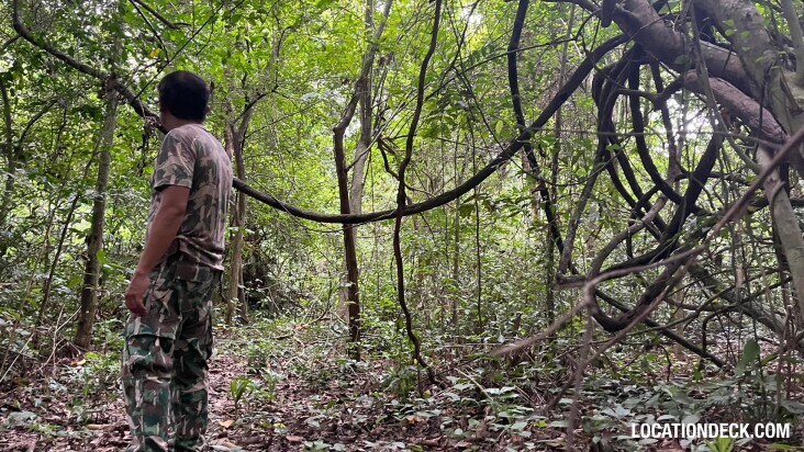Bang Pra Wildlife Sanctuary - Chonburi, Thailand Filming Location