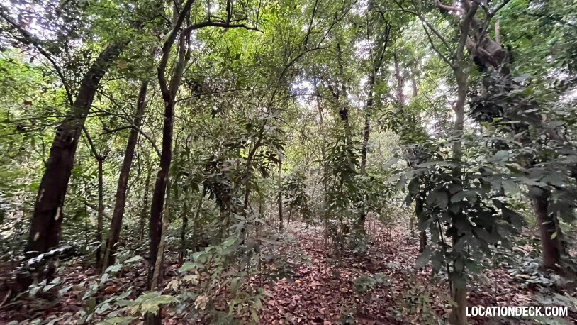 Bang Pra Wildlife Sanctuary - Chonburi, Thailand Filming Location