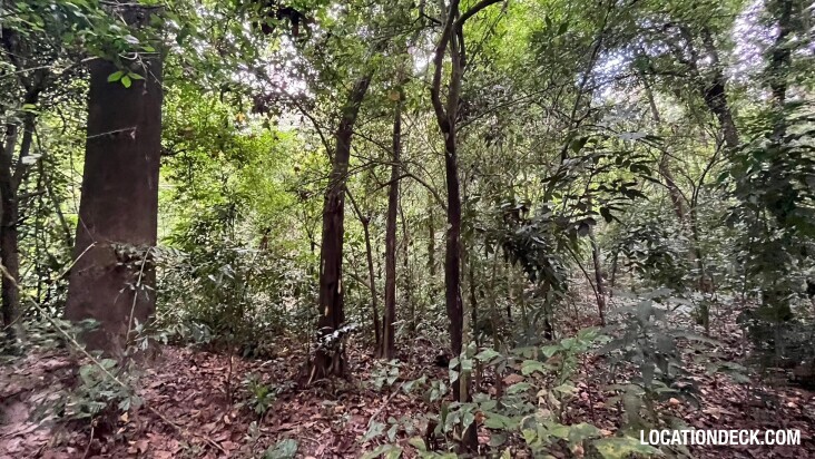 Bang Pra Wildlife Sanctuary - Chonburi, Thailand Filming Location