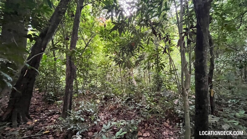 Bang Pra Wildlife Sanctuary - Chonburi, Thailand Filming Location