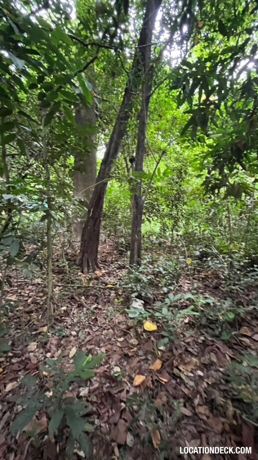 Bang Pra Wildlife Sanctuary - Chonburi, Thailand Filming Location
