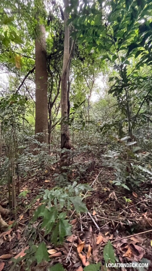 Bang Pra Wildlife Sanctuary - Chonburi, Thailand Filming Location