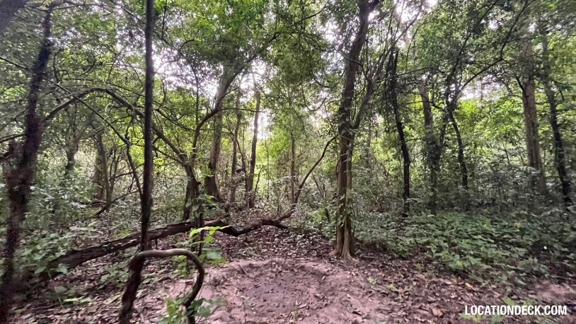 Bang Pra Wildlife Sanctuary - Chonburi, Thailand Filming Location