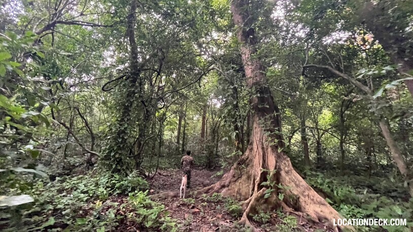 Bang Pra Wildlife Sanctuary - Chonburi, Thailand Filming Location