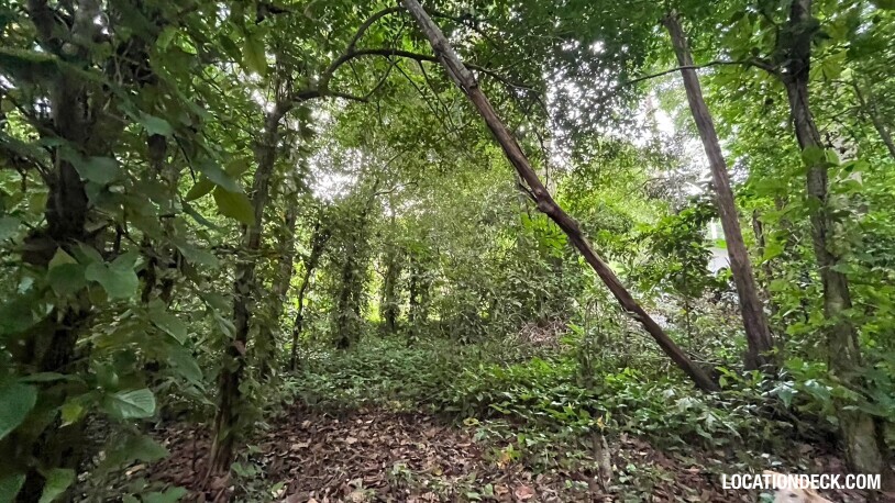 Bang Pra Wildlife Sanctuary - Chonburi, Thailand Filming Location