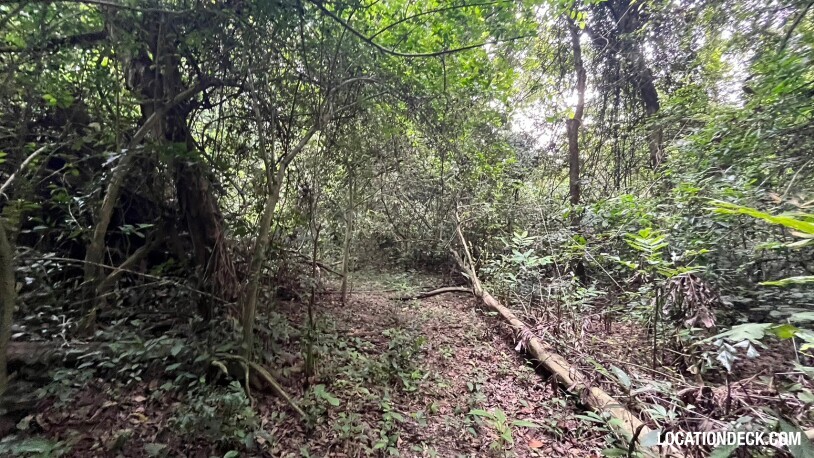 Bang Pra Wildlife Sanctuary - Chonburi, Thailand Filming Location