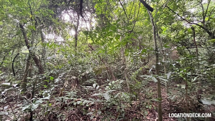 Bang Pra Wildlife Sanctuary - Chonburi, Thailand Filming Location