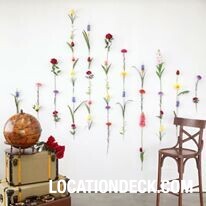 Black Box Studio - Bangkok, Thailand Filming Location