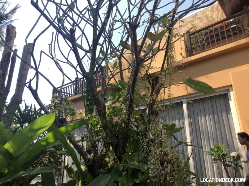 Divinity Beachfront Villa - Chonburi, Thailand Filming Location