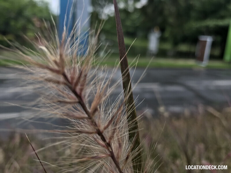 Bangkok University - Pathum Thani, Thailand Filming Location