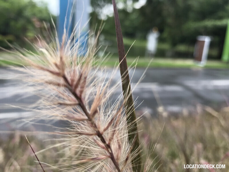 Bangkok University - Pathum Thani, Thailand Filming Location