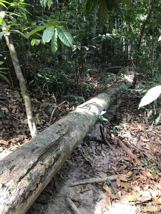 Dragon's Crest Mountain - Krabi, Thailand Filming Location