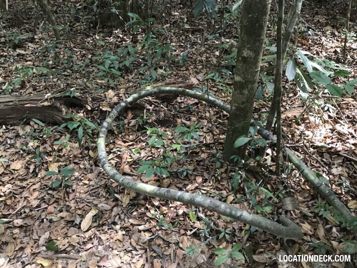 Dragon's Crest Mountain - Krabi, Thailand Filming Location