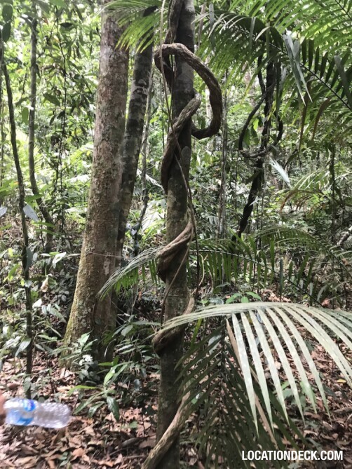 Dragon's Crest Mountain - Krabi, Thailand Filming Location
