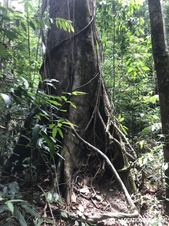 Dragon's Crest Mountain - Krabi, Thailand Filming Location