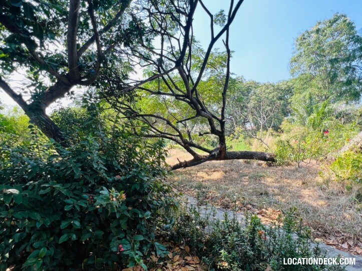 C Park Abandoned Location - Chonburi, Thailand Filming Location